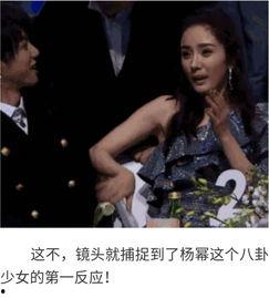 吃瓜群众碰到明星,吃瓜群众与璀璨星辰的意外邂逅