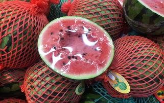 上海吃瓜群众隔离,上海吃瓜群众隔离生活全景扫描