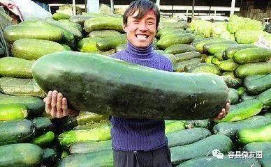 爱吃糖的吃瓜群众是谁,网络红人的甜蜜魅力