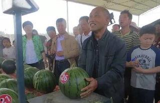 于都疫情吃瓜群众