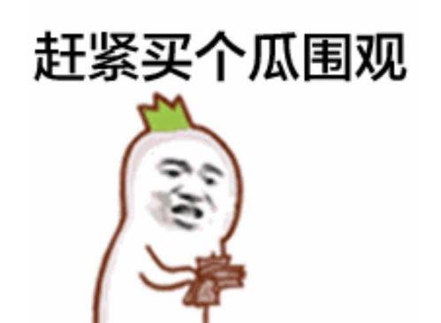 吃瓜群众小宇哥,揭秘娱乐圈那些事儿