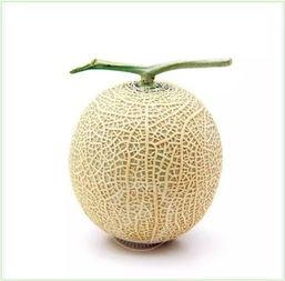 古代吃瓜群众吃的什么瓜