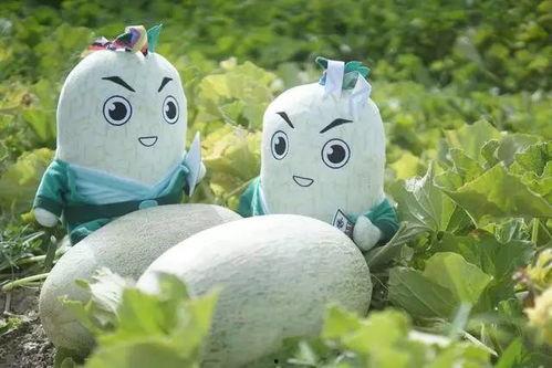 吃瓜群众玩偶,吃瓜群众玩偶的趣味魅力