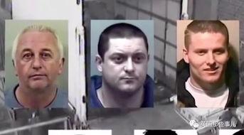 吃瓜群众被杀案件,一桩离奇命案的真相探寻